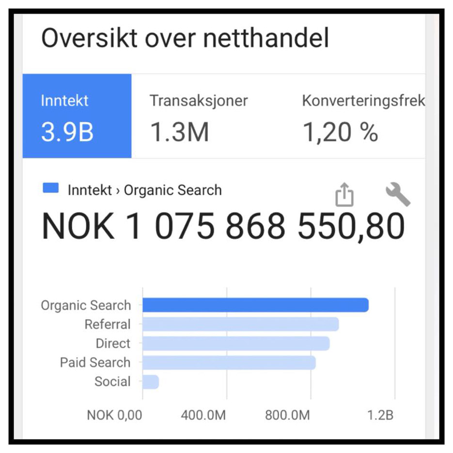 Skjermbilde av Google Analytics som viser milliardomsetning fra Google organisk søk og søkemotoroptimalisering