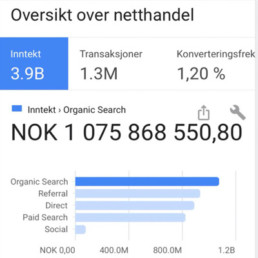 Skjermbilde fra Google Analytics etter SEO for nettbutikk